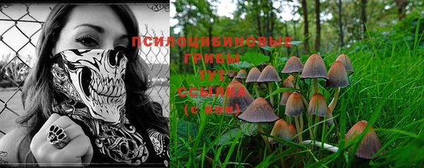 экстази Аркадак